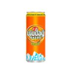 Uludag Orange 0,33l